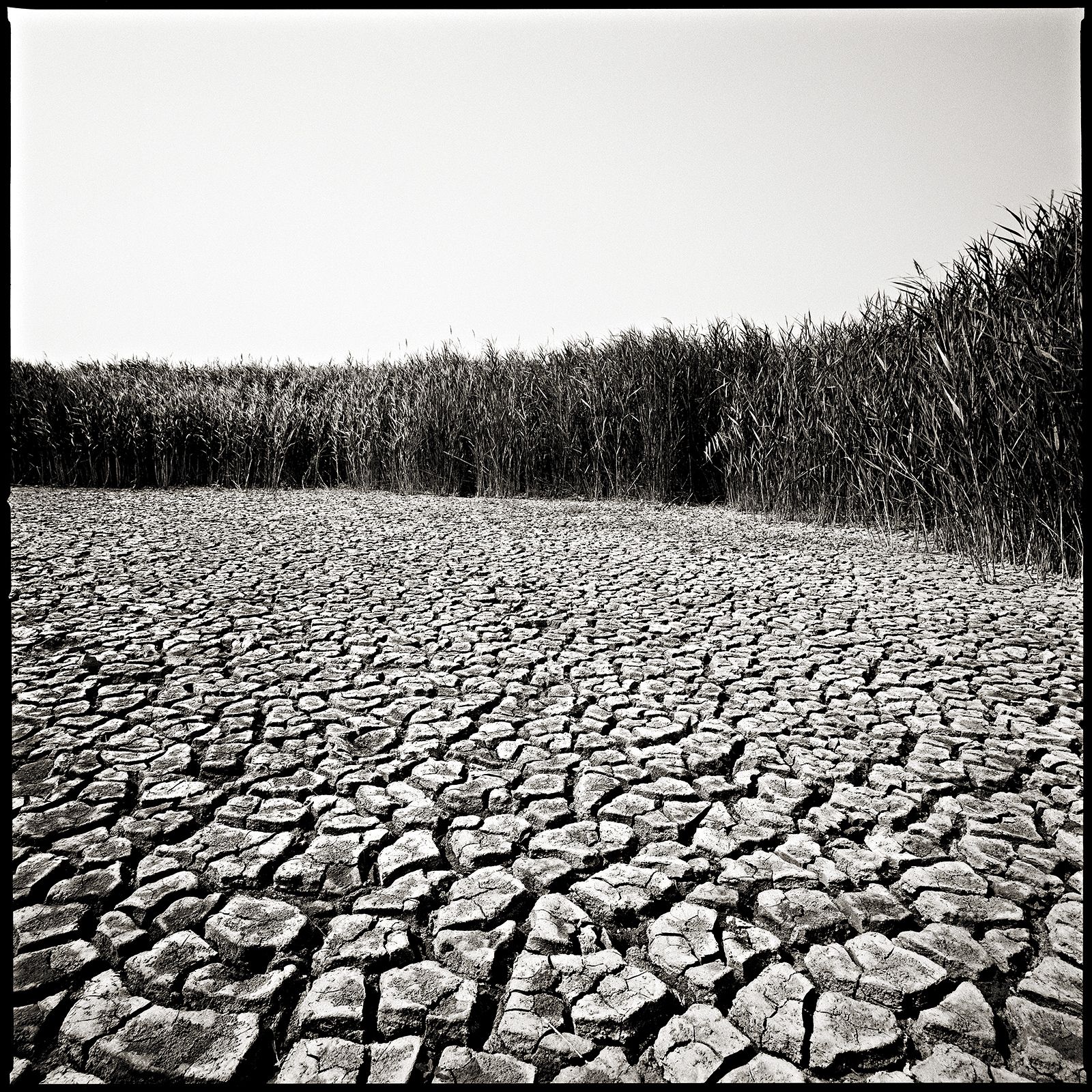 LANDSCHAFTEN / SEEWINKEL