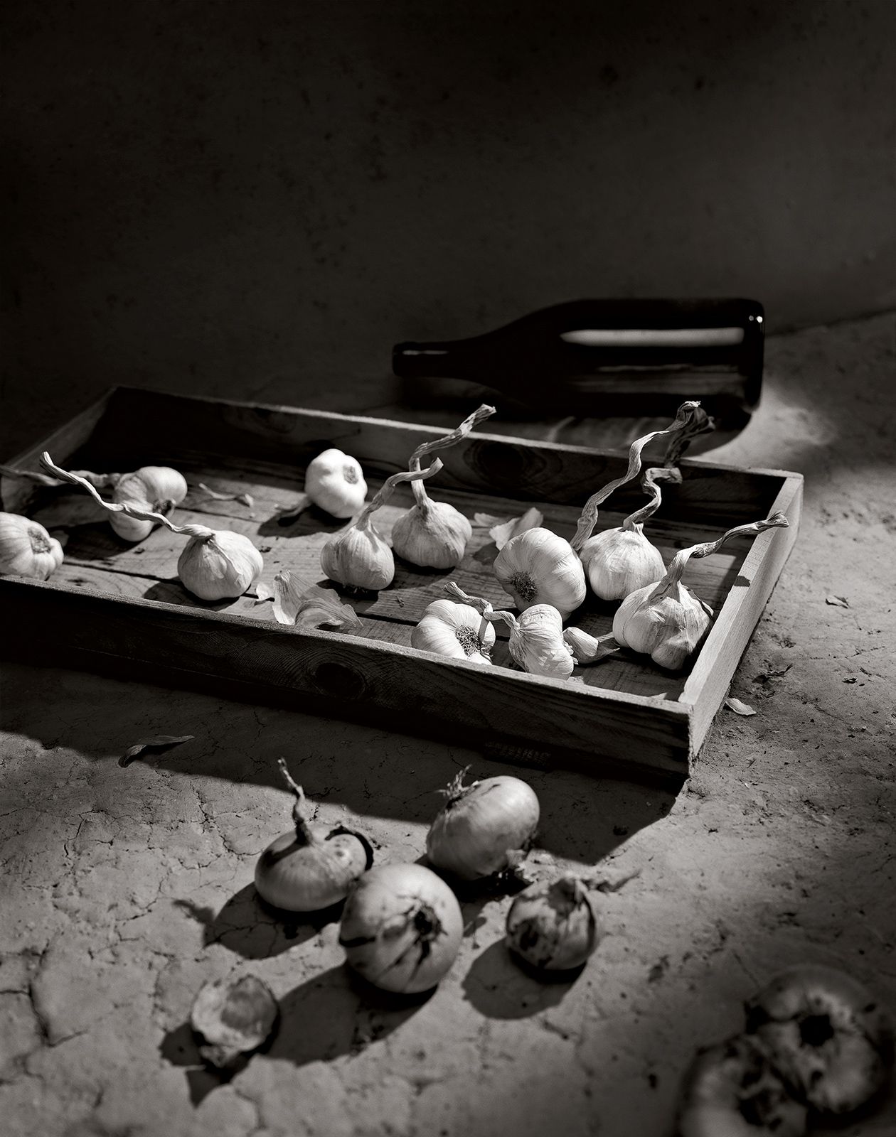 S/W STILLLEBEN / KNOBLAUCH